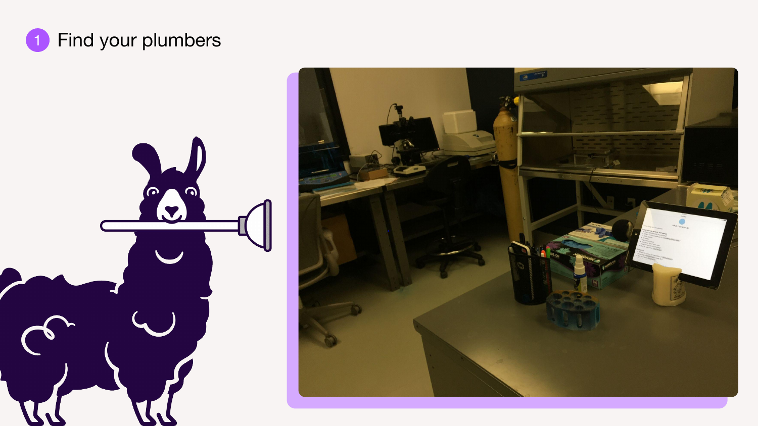 Slide 11